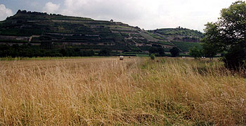 Kaiserstuhlkante bei Ihringen