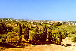 Bei Orimino